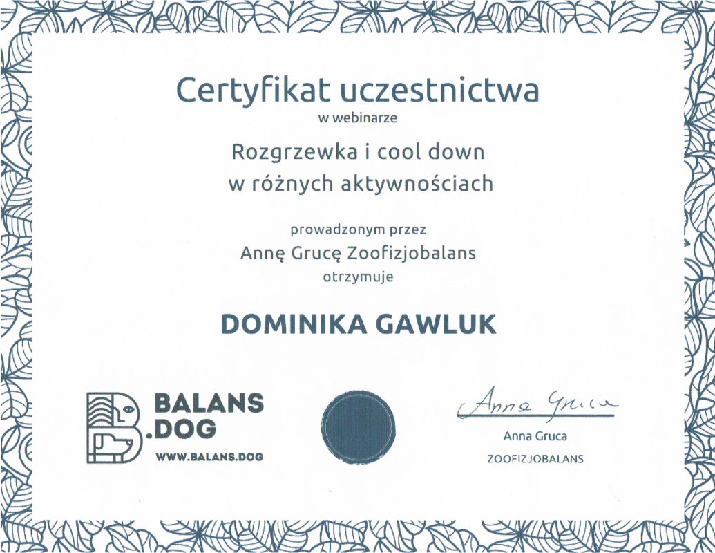 Certyfikat uczestnictwa w webinarze Rozgrzewka i cool down w różnych aktywnościach