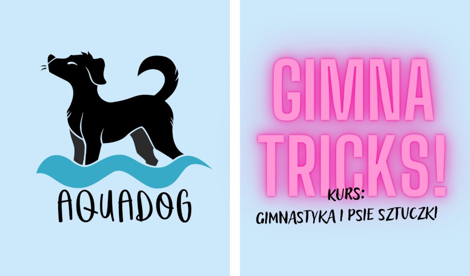 Gimna Tricks 03.2026