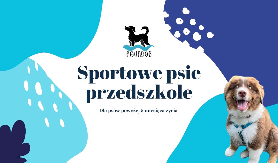 Sportowe psie przedszkole 05.2026