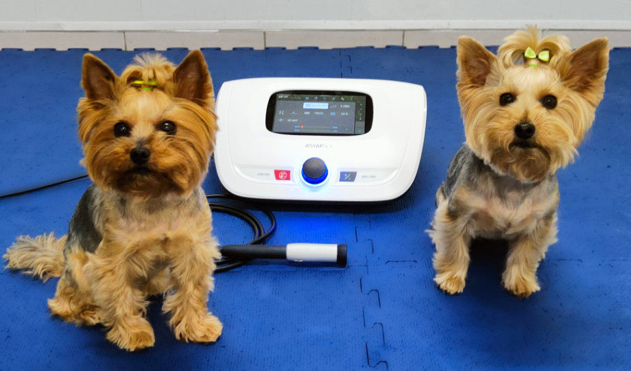 Laseroterapia wysokoenergetyczna / biostymulacyjna